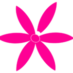 fleur de vie rose