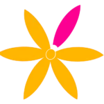 Fleur de vie rose et jaune