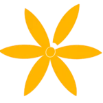 fleur de vie jaune